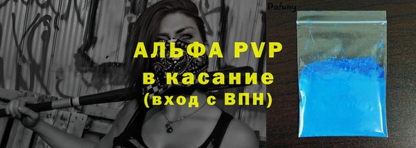 твердый Абаза