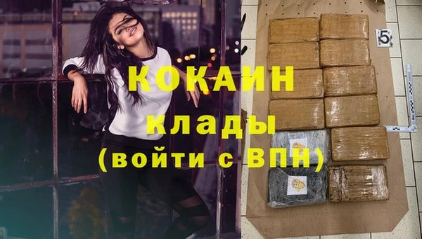 твердый Абаза